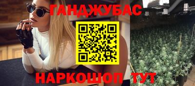 стаф Краснодар