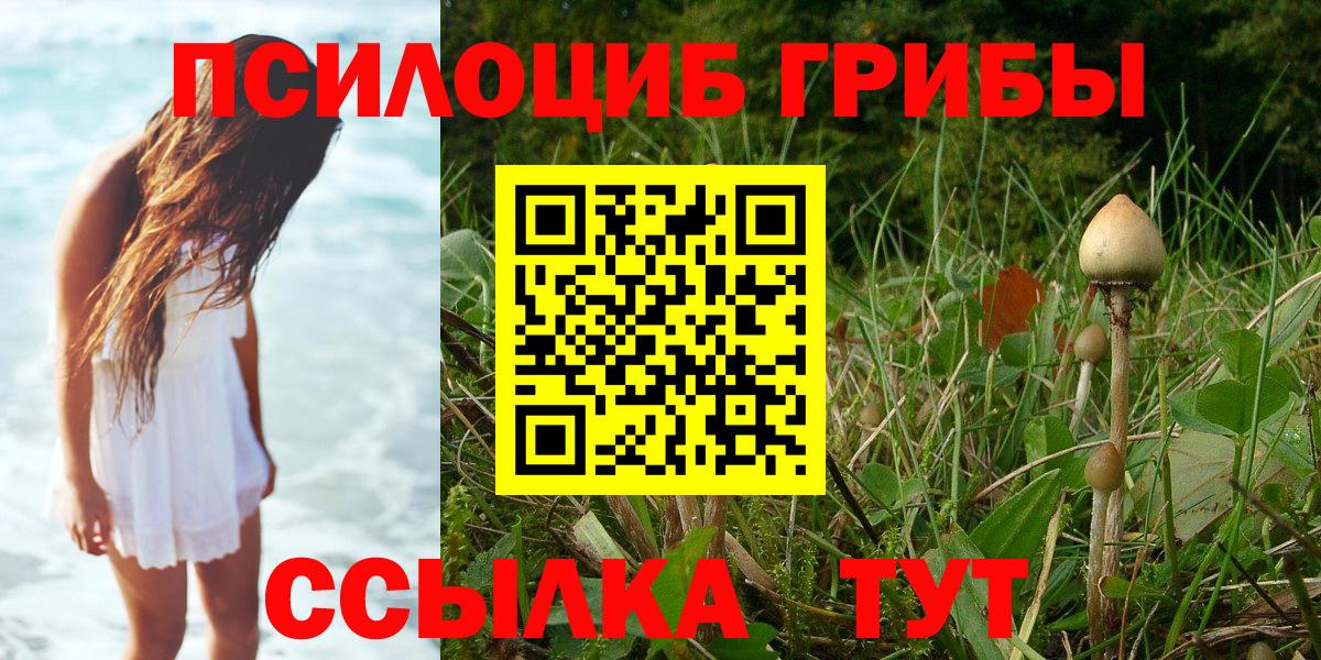 Галлюциногенные грибы Psilocybine cubensis  Псилоцибиновые грибы ЛСД  Ульяновск  Вход с VPN 